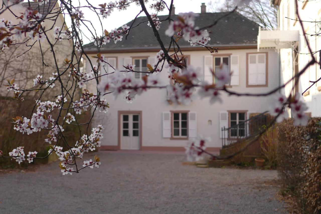 Wolxheim La Maison Carre מראה חיצוני תמונה